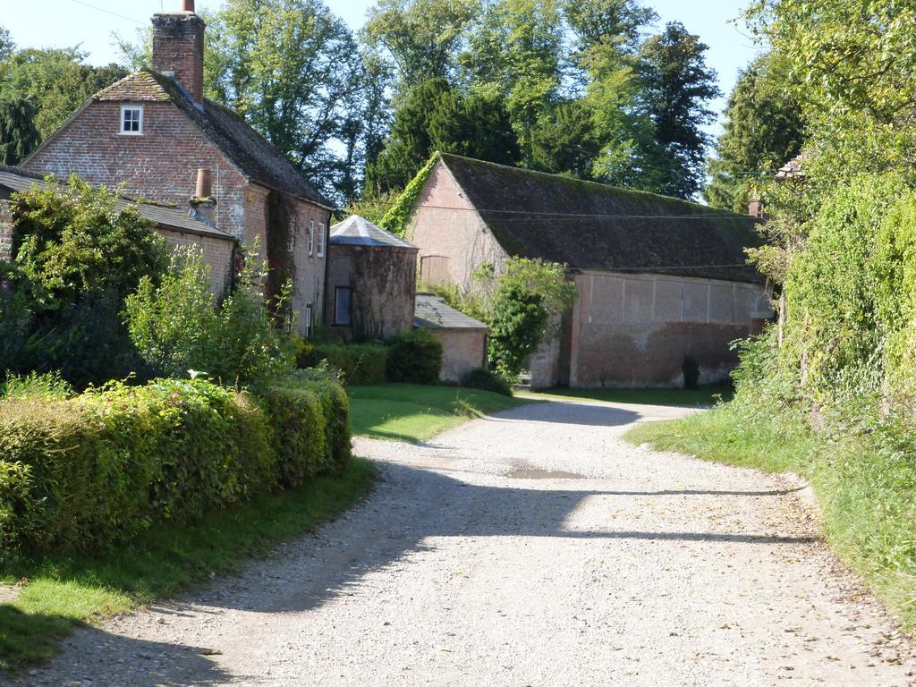 Home Farm House Wimborne Saint Giles Exterior foto