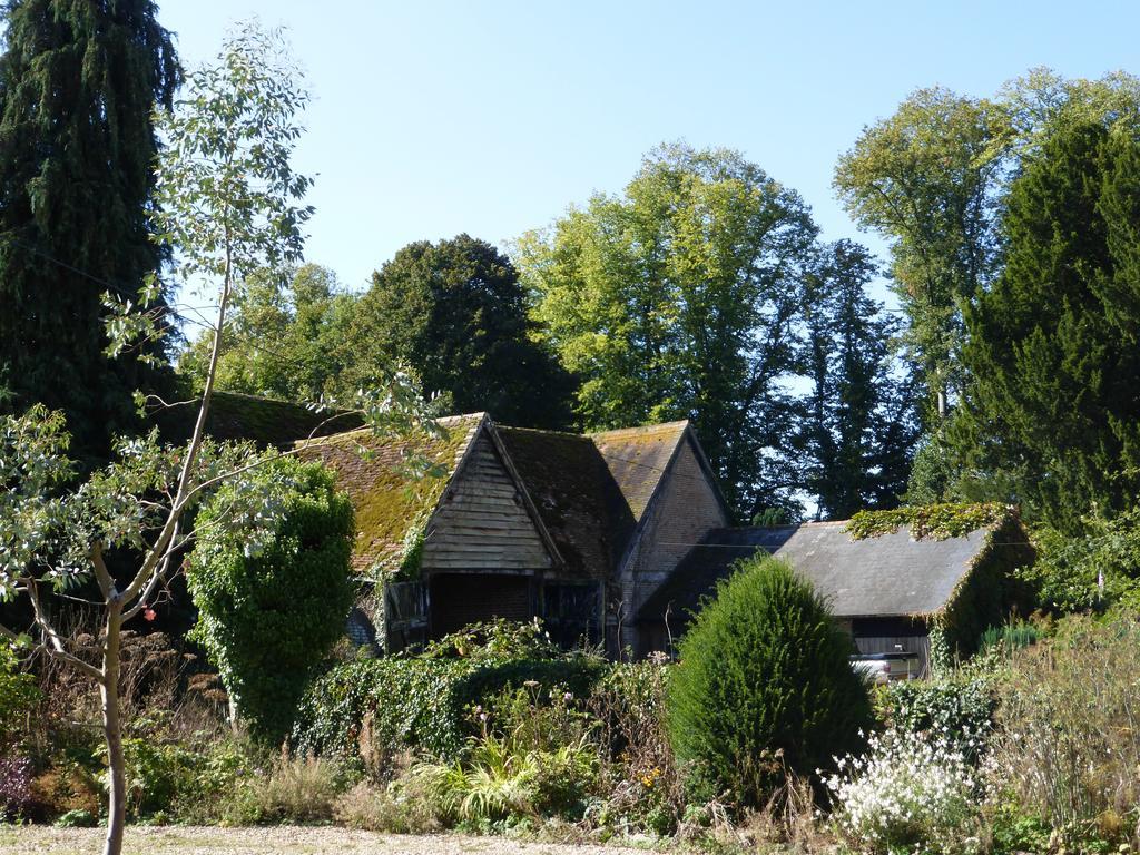 Home Farm House Wimborne Saint Giles Exterior foto